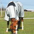 Fly Sheet Mesh with Belly Band and Neck Cover